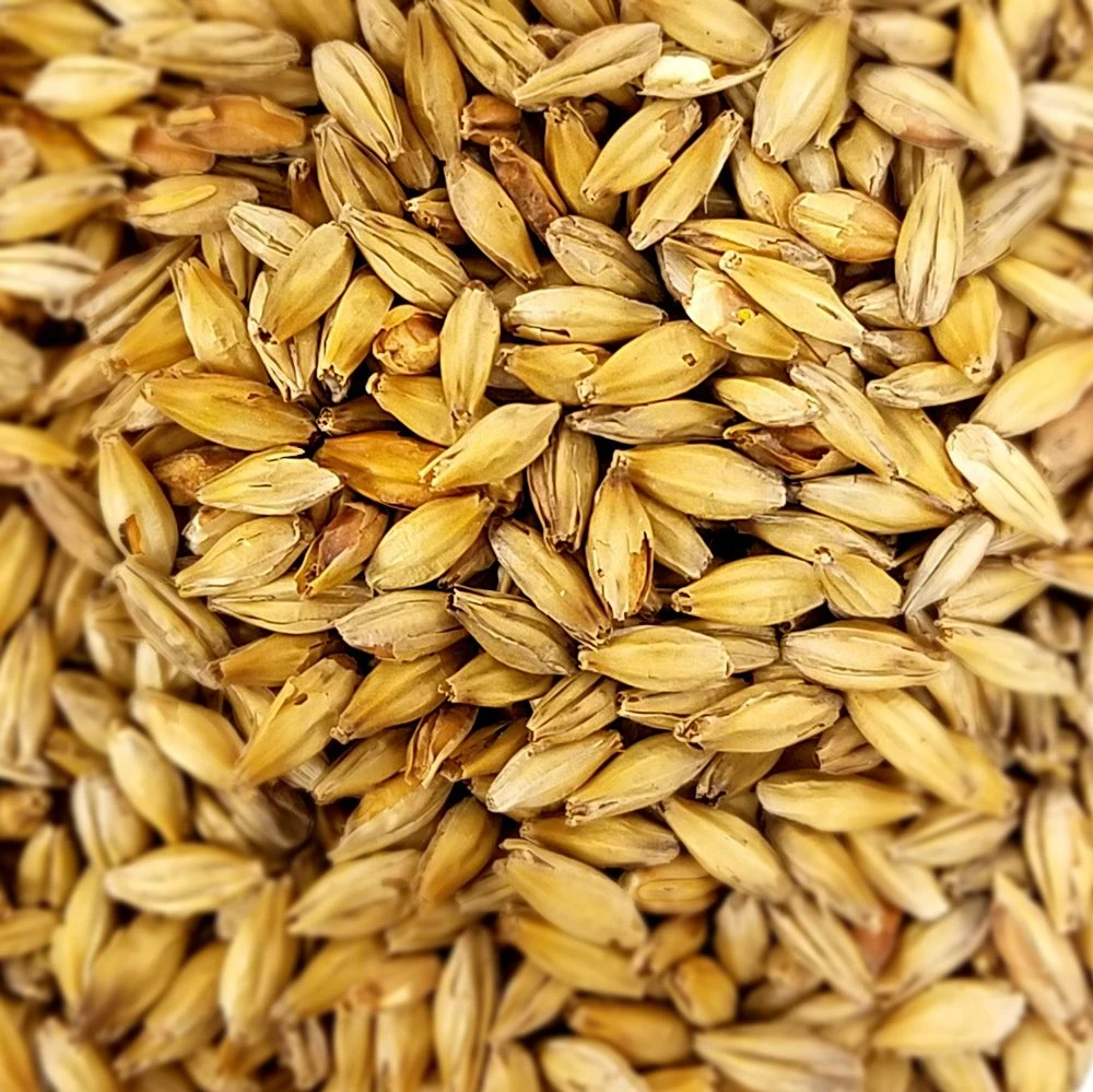 HoneyGold 10
