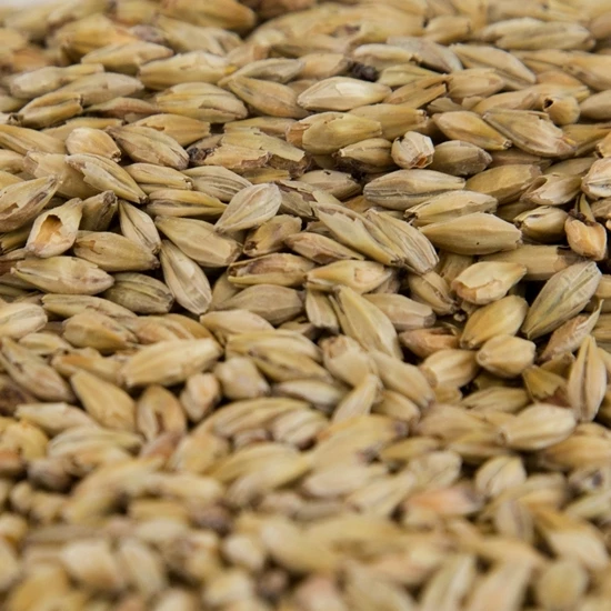 Chit Malt