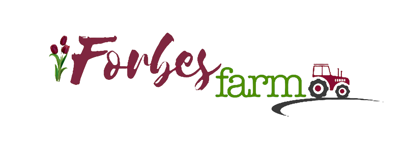 Shop Banner