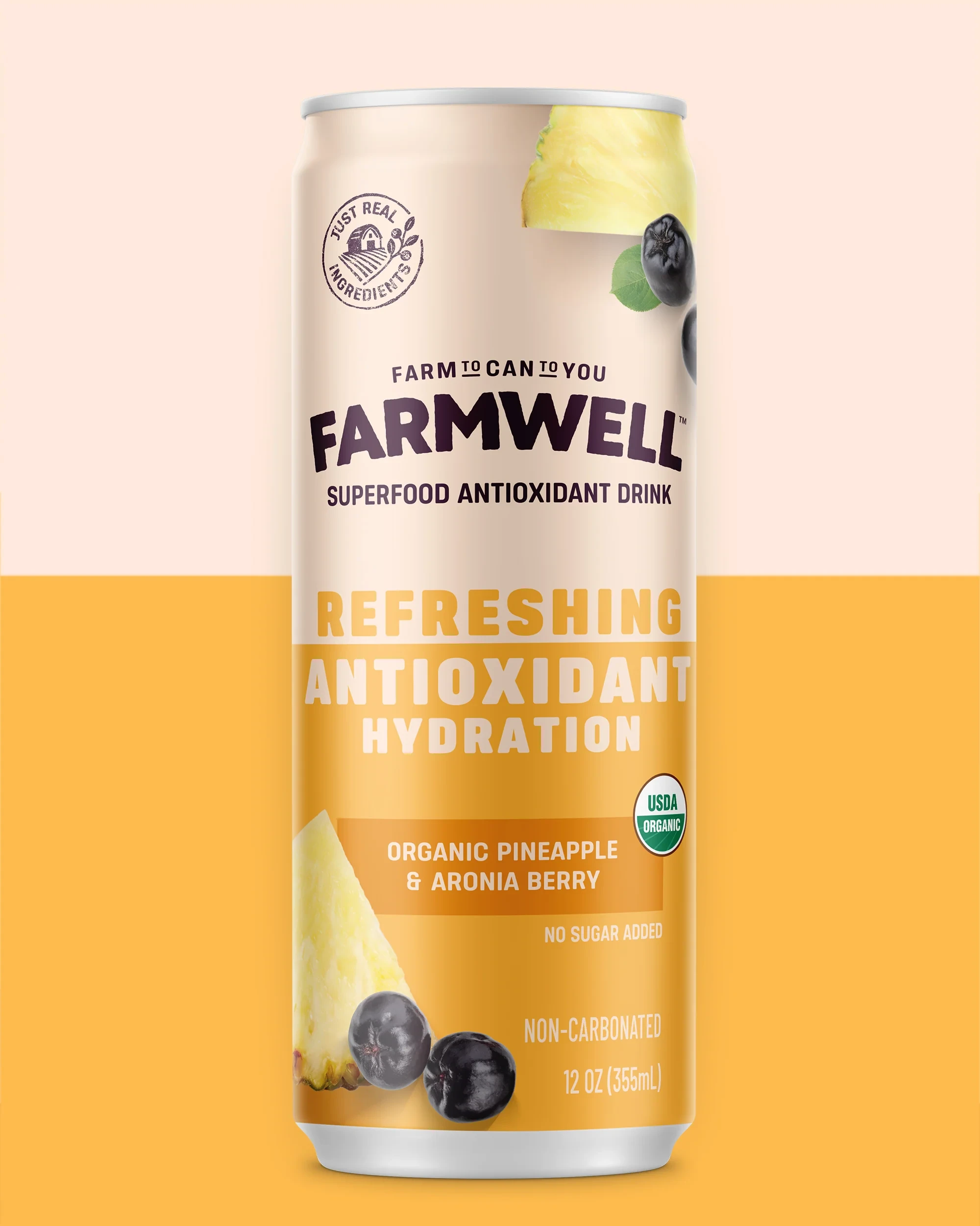 12 Cans  Organic   Pineapple   &   Aronia   Berry