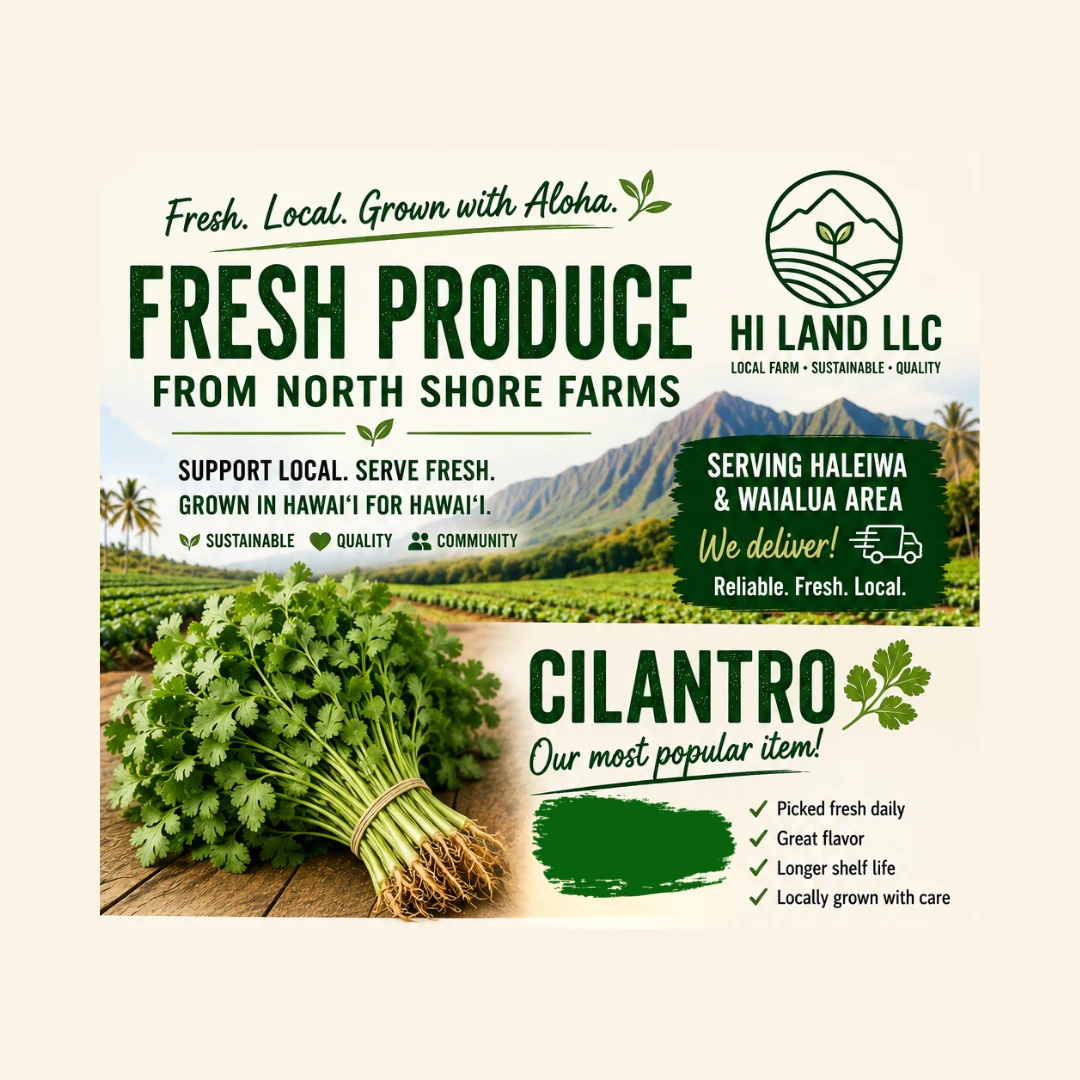 Cilantro